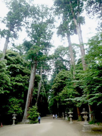鹿島神社.jpg